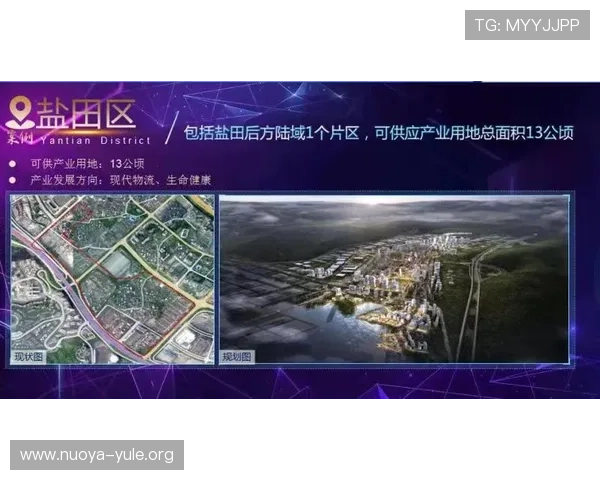 通过速盈旗舰平台展现金融科技的创新与发展前景